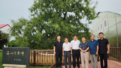 中國市場(chǎng)學(xué)會(huì)調(diào)研山東省沾化區(qū)冬棗產(chǎn)業(yè)基地及海產(chǎn)品市場(chǎng)