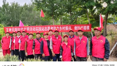 德州保店鎮(zhèn)：志愿紅助力黃桃基地疏果 共繪鄉(xiāng)村振興新圖景