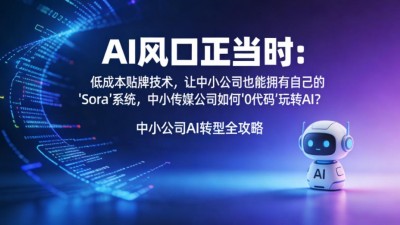 AI風口正當時：低成本貼牌技術，讓中小公司也能擁有自己的AI“Sora”系統