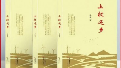 退役軍人的家國(guó)情懷 鄉(xiāng)村振興的深耕力作—— 魏莊長(zhǎng)篇小說(shuō)《上校還鄉(xiāng)》的精神內(nèi)核?