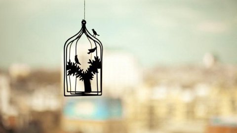 于維思：中國(guó)學(xué)前教育的悲哀誰(shuí)之過(guò)？