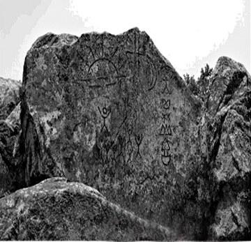 點(diǎn)擊進(jìn)入下一頁