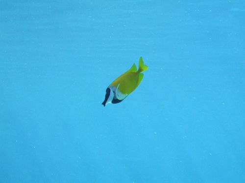 動機最單純，感覺最快樂