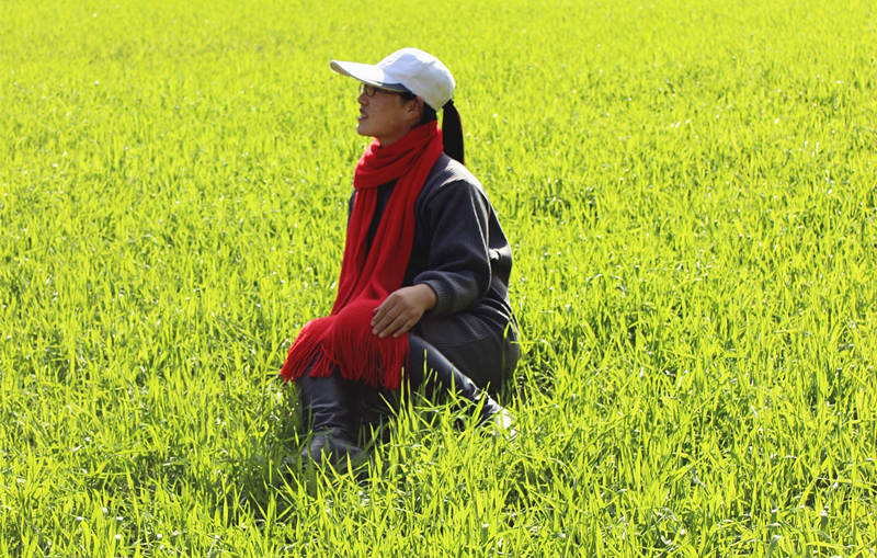 呂敏訥｜一場茶事一場清歡