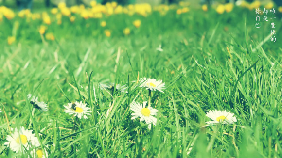 王雯｜這世上，沒(méi)有東西可以抵消時(shí)間的牽引