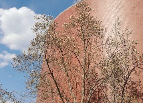 北京朗誦藝術(shù)團(tuán)女詩(shī)人朗誦團(tuán)走進(jìn)北京十一學(xué)校