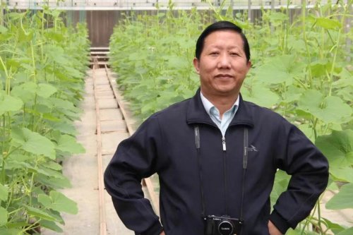 劍膽詩魂一一銳語寫作的倡導與實踐