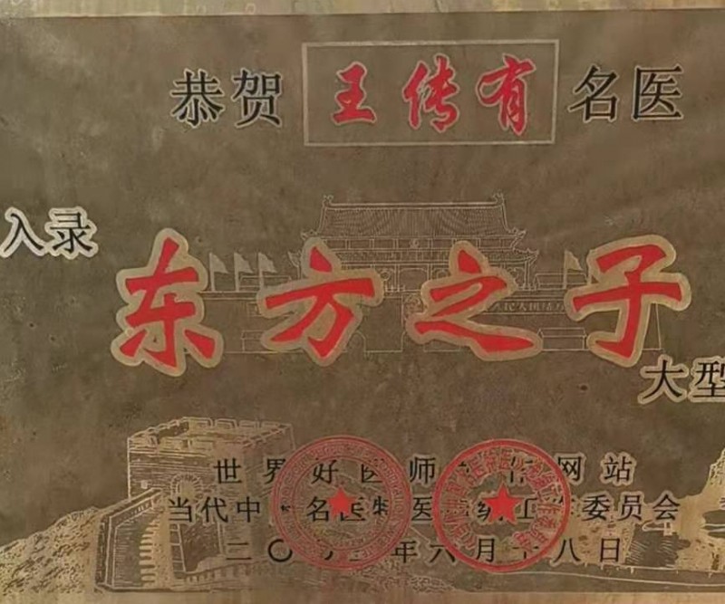  當代名醫(yī)王傳友,御醫(yī)王天中醫(yī)傳人